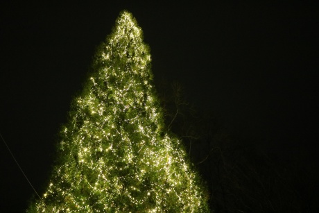 Save the Date - Strahlende Lichter am Christbaum