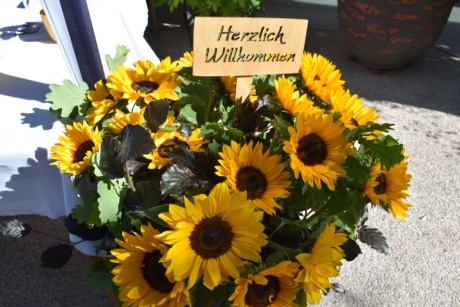 Sonnenblumen, Saxophon und tiefe Geschichten: Das Blumenrain blickt auf ein gelungenes Jubiläumsfest zurück