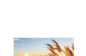Aktivitäten und Veranstaltungen im Juli
